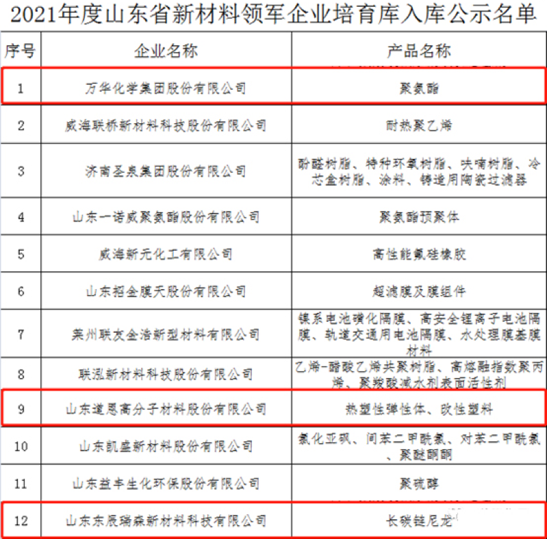 萬華化學(xué)、山東道恩、東辰瑞森等企業(yè)在列！2021年度山東省新材料領(lǐng)軍企業(yè)公示