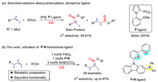 烯烴羰基化反應研究獲進展